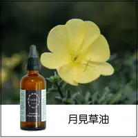 在飛比找樂天市場購物網優惠-英國香氛園地 - 月見草油 100ml