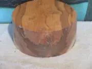 SPALTED HONEY LOCUST 9X4 TURNING WOOD BOWL BLANK
