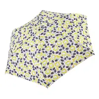 在飛比找PChome24h購物優惠-RAINSTORY雨傘-時光花漾抗UV手開輕細口紅傘