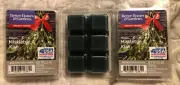 Better Homes & Gardens Scented Wax Melts : MAGIC MISTLETOE KISS : 3 boxes NEW