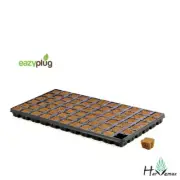 EAZY PLUG COCO PLUG CUTTINGS TRAY HYDROPONICS 66 CELLS CUBES SEEDING PROPAGATION