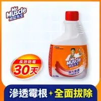 在飛比找PChome24h購物優惠-威猛先生 強力去霉劑補充瓶400g(日本製)