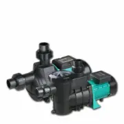 220V Swimming Pool Filter Pump Booster Self-priming Circulating Pump Water Pump