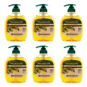 6x Palmolive 250ml Liquid Hand Wash Pump Antibacterial Skin Care Cleaning Soap