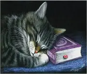 SLEEPING GRAY TIGER CAT IMAGE COMPUTER MOUSE PAD 9 X 7