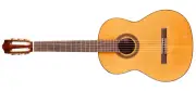 Cordoba C5 CD Lefty Guitar Pack Cedar Top, Mahogany Mid Range Classical Guitar