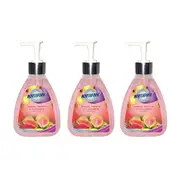 3x Northfork 250ml Hygienic Cleaning Liquid Hand Wash Guava, Papaya, Cucumber