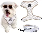 2-Piece Walkies Bundle [Pipco Pets] - Adjustable Dog Harness + Lead | Cute Colourful Patterns | Safe and Secure | (M, Gettin' Ziggy)