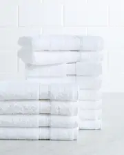 Linum Home Textiles Terry Set of 12 Washcloths