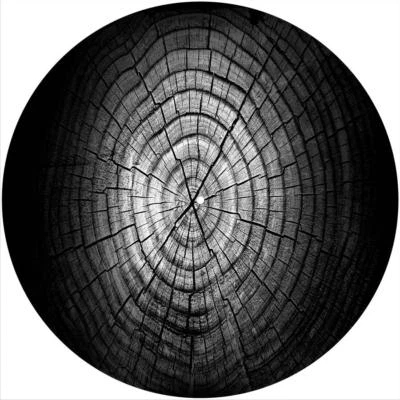 Slipmat Slip Mat for 12" Turntable Vinyl LP DJ Record Player DRIED TREE RINGS