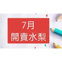 在飛比找蝦皮購物優惠-東勢甘露梨(兩粒裝) 29-32兩 水梨手提禮盒 已含運 ~