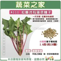 在飛比找Yahoo!奇摩拍賣優惠-【蔬菜之家滿額免運】A111.紅脈沙拉菠菜種子1.6克(約1