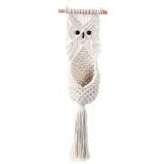 Owl Plant Hanger Wall Hanging Planter Basket Flower Pot Holder Decor