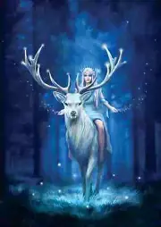Fantasy Forest by Anne Stokes, 1000 Piece Puzzle