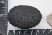 Black Sheba - Cintamani - 46g - Rarer than Saffordite Impactite Tektite #dhx21