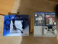 在飛比找Yahoo!奇摩拍賣優惠-SONY PS4 500G 冰河白主機