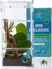 Jumping Spider Habitat, Terrarium Kit - Insect & Spider Enclosure, Frog & Praying Mantis Habitat