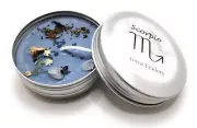 Scorpio Zodiac Charged Candle