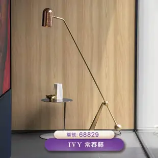 【IVY常春藤】環保無毒 防燃耐熱53X1000cm自然系木紋壁紙