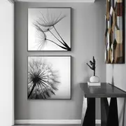 Black and white dandelion 2 sets Canvas Prints