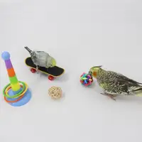 在飛比找ETMall東森購物網優惠-寵兒新家鸚鵡訓練工具用品 益智玩具啃咬鳥玩具 虎皮玄鳳小太陽