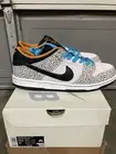 Size 10.5 - Nike Dunk Pro SB Low Electric Pack
