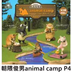 朝隈俊男 ANIMAL CAMP P4 扭蛋 轉蛋 動物露營 模型 UNION CREATIVE