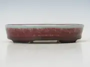 Koyo Elliptical Bonsai Pot – Artist-Made Tokoname Ware (Japanese)