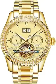 [TEINTOP] PASOY Carnival Men's Watch Automatic Mechanical Tourbillon Full Gold Stainless Stell Date Diamond Watches