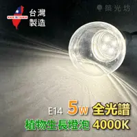 在飛比找蝦皮購物優惠-【築光坊】 E14 5W 散光型 全光譜 4000K 植物燈