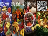 在飛比找樂天市場購物網優惠-10「吃素、環保、愛地球」中英日文講座 認識自己 平衡的彩色