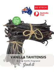 VANILLA BEANS GRD B, 13cm+, GREAT FOR EXTRACT 100 GR (40-50 Beans), free Postage