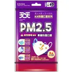 天天 康匠 PM2.5專用防護防霾口罩(A級)2入-M、L