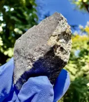 meteorite:El Menia:Weight 29.0 Grams. New Fall, Found Recently. Beautiful
