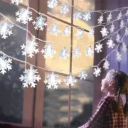 Super Bright Christmas LED decoration lights for 2022 New year Snowflake pattern