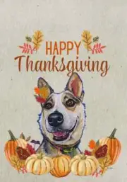 Australian Cattle Dog Hippie Hound Studios Happy Thanksgiving Flag