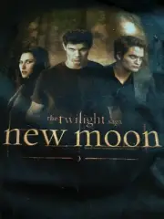 TWILIGHT NEW MOON LOVE TRIANGLE TOTE BAG. BRAND NEW (B783)_