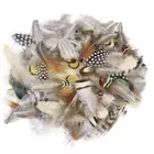 50pcs Mixed Natural 4-10cm Pheasant Guinea Real Feathers DIY Art Craft Jewellery