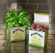 Get Well Soon Goetze’s Caramel Candy Gift Basket-Box Wrapped With Green Bow