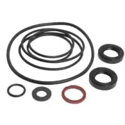 Plessey Power Steering Pump Seal Kit Fits Massey Ferguson 50 165 255 165 275