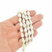 Conch Natural Shell Beads 11mm x 7mm - Ivory - 1 Strand 160 Beads - BD2404