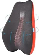 QUMOX Lumbar Support Pillow, Memory Foam Back Cushion Backrest for Car Seat, Office Chair, Computer Chair, Wheelchair and Recliner Ergonomic Design (Orangle)