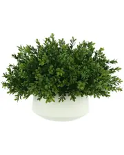 Creative Displays Boxwood Arrangement