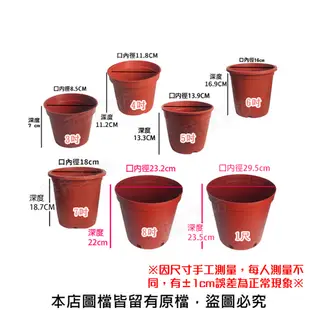 7吋荷蘭盆(栽培盆)5個/組 (8.6折)