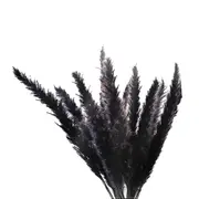 30Pcs Black Pampas Grass, 17 Inch Natural Dried Small Stems for Home Wedding Decor Flower Arrangeme