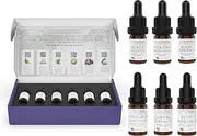 Levona Scent Essential Oils Set - Home Luxury Scents for Diffusers & Humidifiers, Ideal for Home Fragrance, Air Freshening, & Odor Elimination, Aromatherapy Gift Pack, Made in USA - 5 ml, Pack of 6