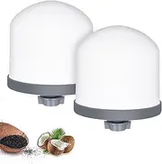 YKMGON Replacement Ceramic Dome Water Filter with Coconut Shell Activated Carbon， 0.2 to 0.5 micron for Countertop Water Filter System 2PACK