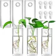 Fasmov 6 Pack Wall Hanging Glass Planters, Terrarium Holders for Air Plants, Succulents, Flowers - Square, Clear Vase Containers for Plant Display and Decoration