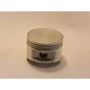 Austral Piston Set - PO1132A 040