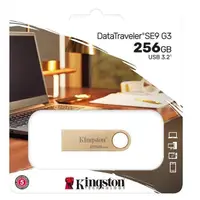 在飛比找PChome24h購物優惠-Kingston 256G 256GB DTSE9G3 Da